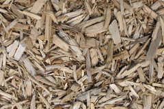 biomass boilers Trekeivesteps